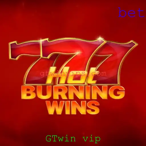GTwin vip Promoção